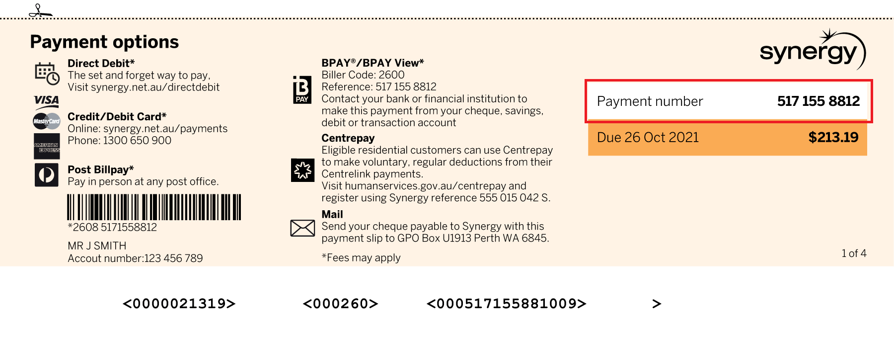 Image showing payment options and payment number on a Synergy bill