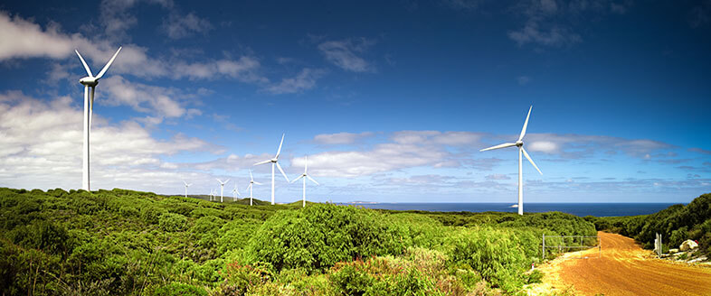 Wind Power - Supporting the environment